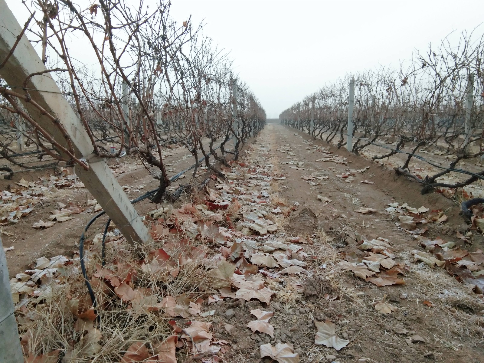 15770017667319.jpg 微信圖片_20191221160126.jpg