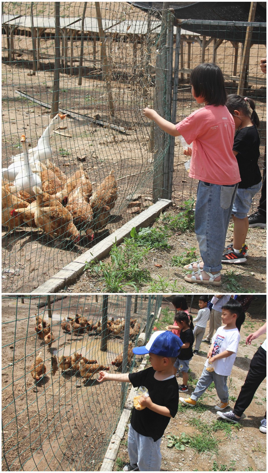 15898699329833.jpg 11_副本1.jpg