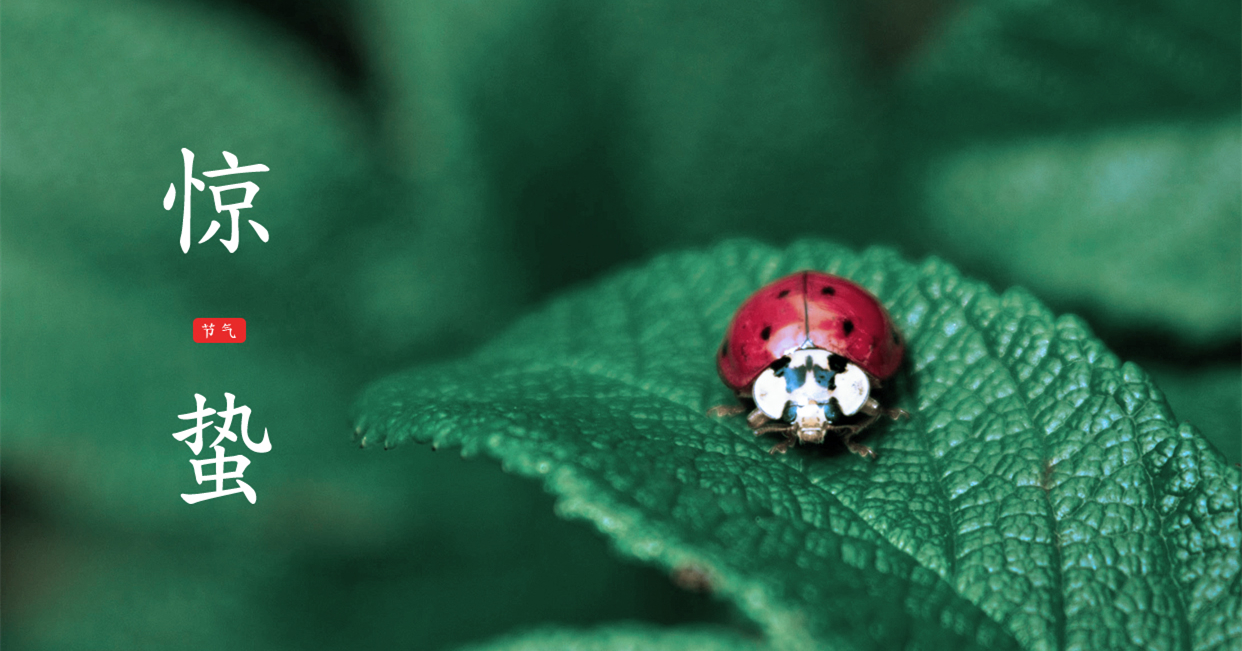 驚蟄 ▎驚蟄始，萬物舒，與你聽風望春來