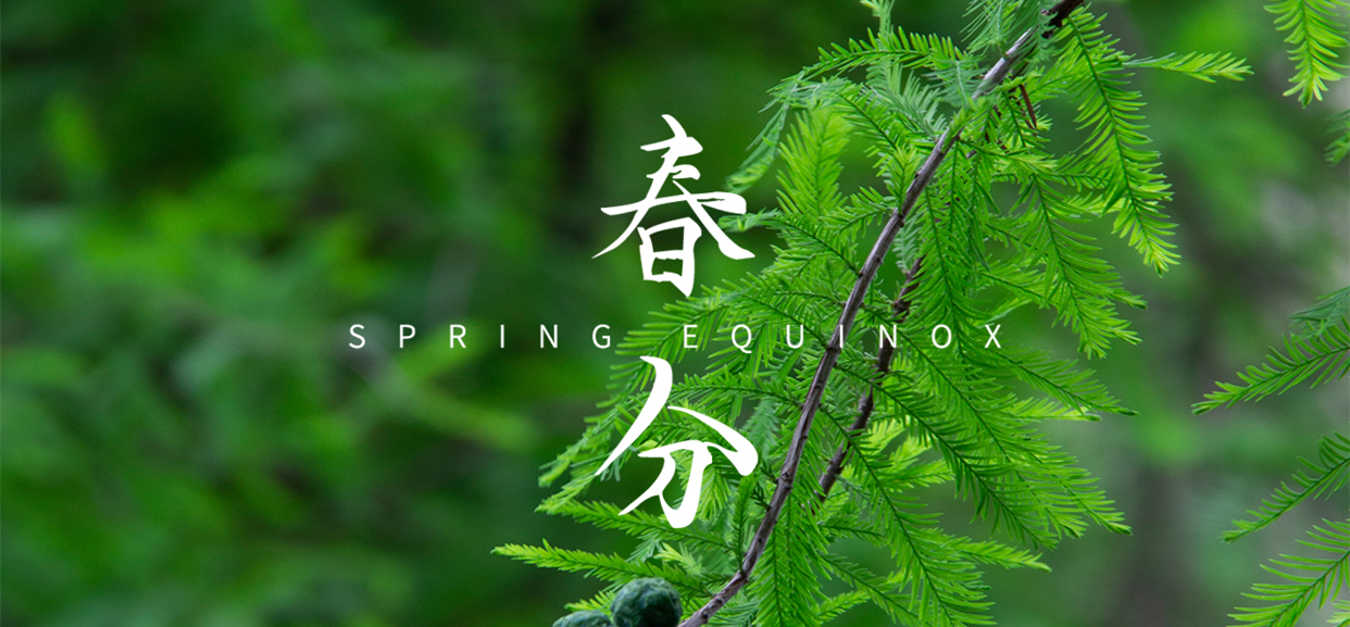 春分 ▎不負春光，萬物生長