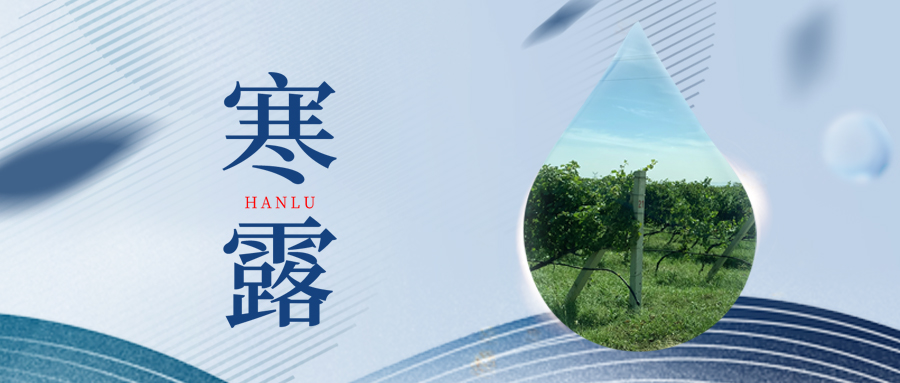 寒露丨夜露凝寒，萬物皆秋