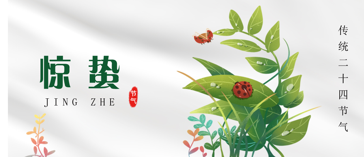 驚蟄 ▎雷鳴春醒，萬物生長