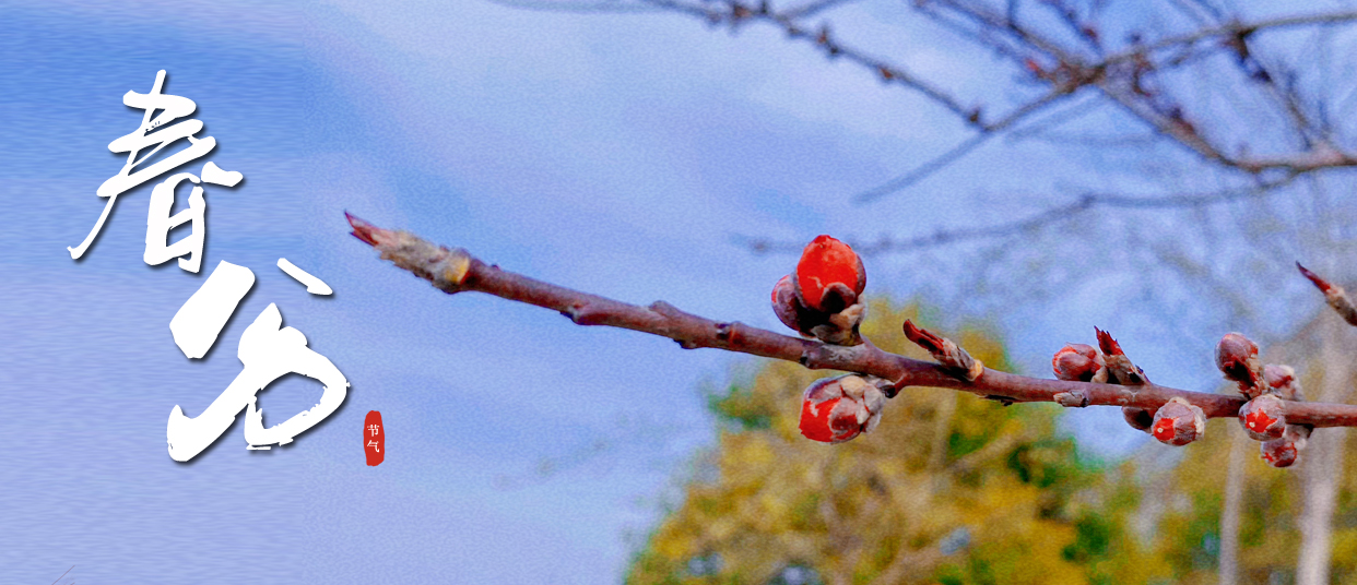 春分 ▎春光滿園，蓬勃生長