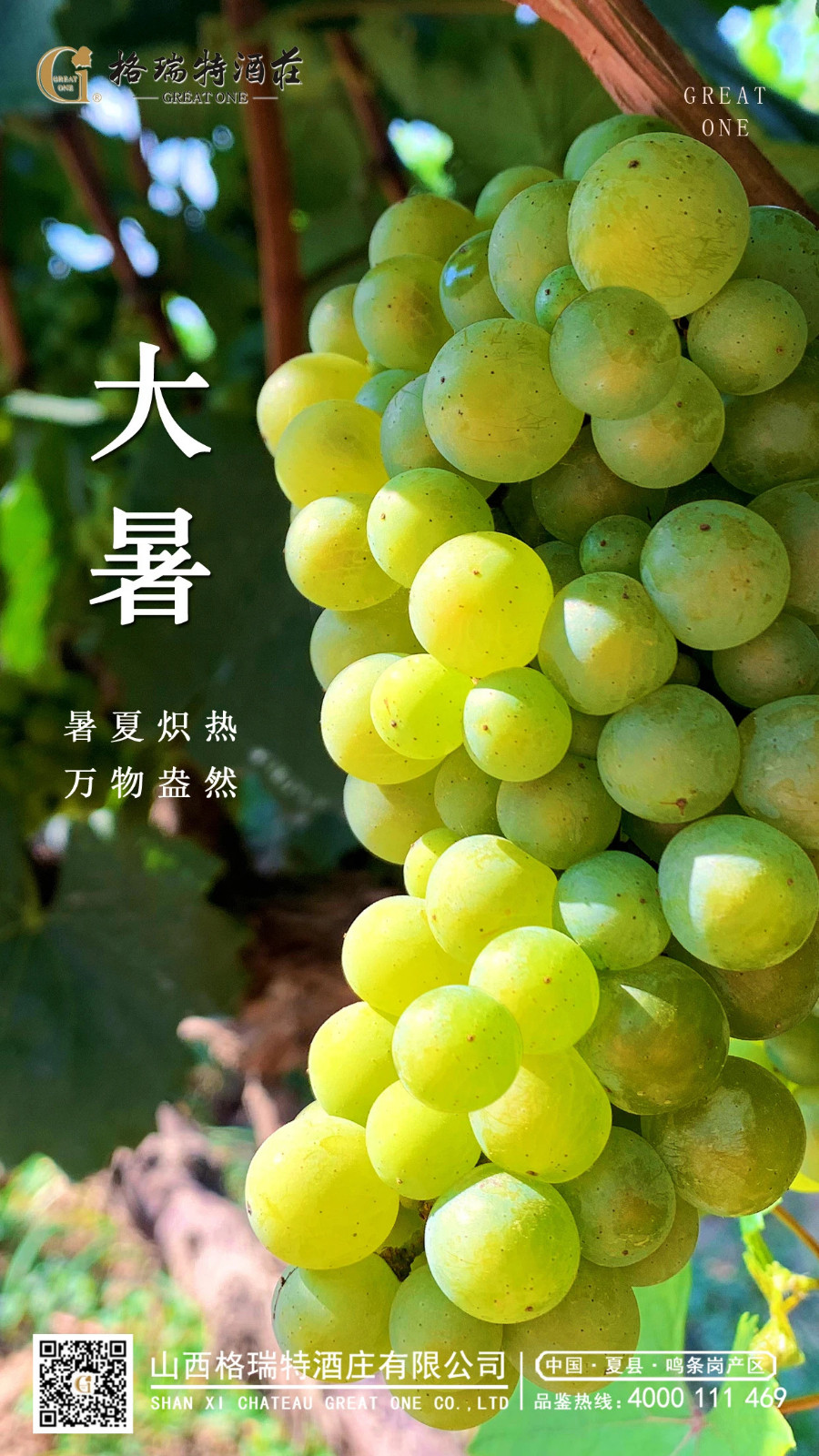 16905374486788.jpg 微信圖片_20230728174331.jpg