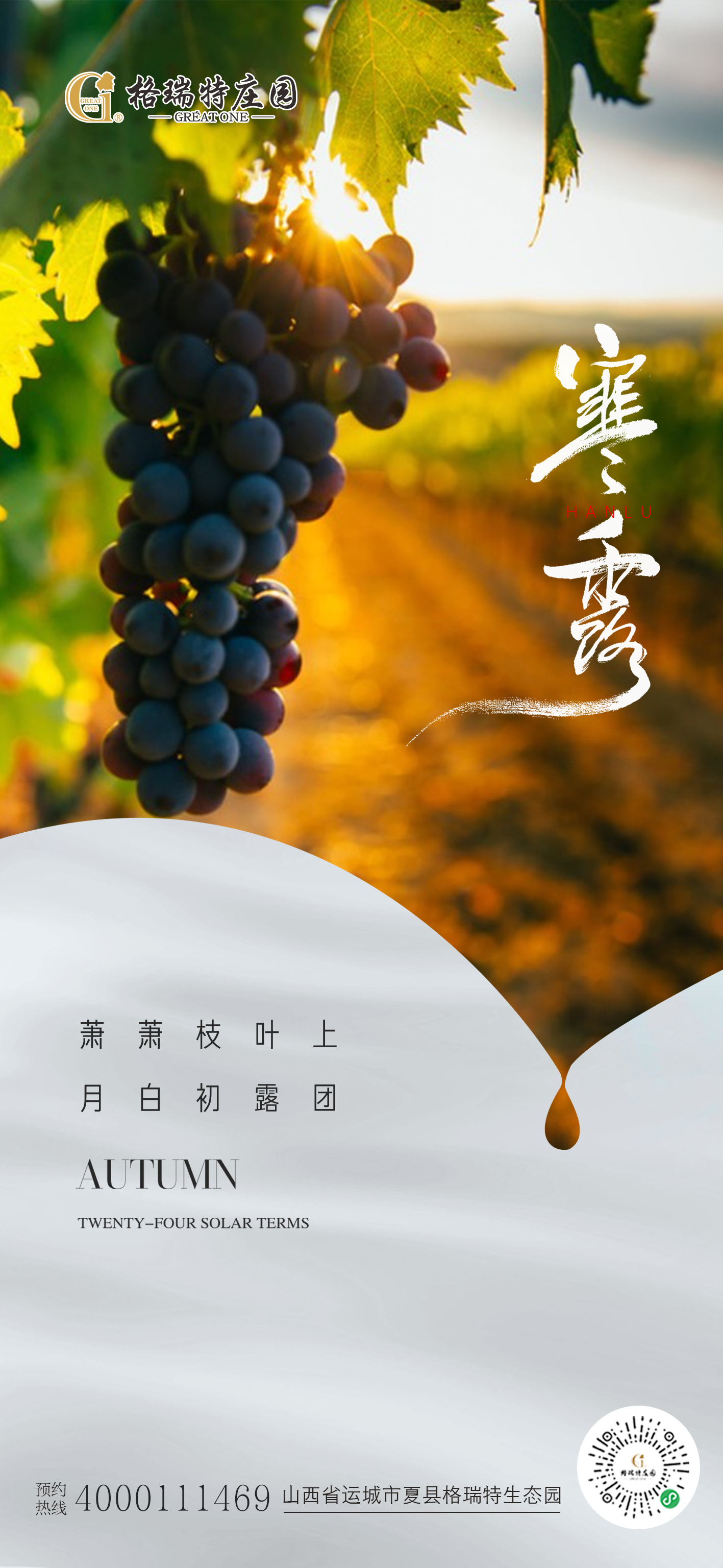 17113573025022.png 27237c81cb9587ac85e94e90755e1ce4.png