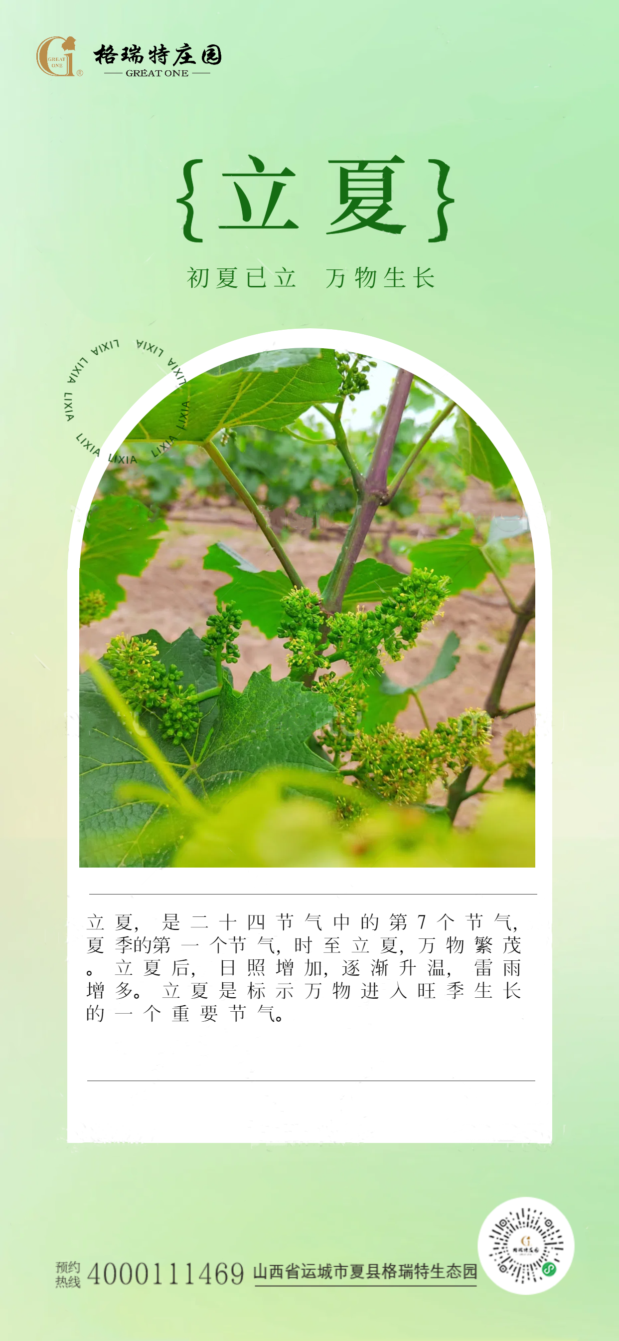 17161900901946.png 6358a55335abfb2bdcaceb8d13c11006.png